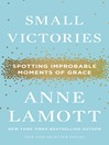 Cover image for Small Victories